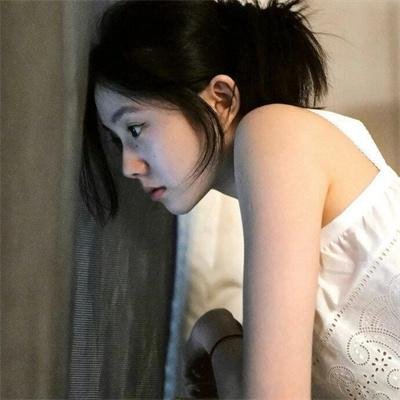 汪喵物语